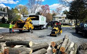 How Our Tree Care Process Works  in  Palouse, WA